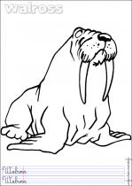 coloriage-morse-1
